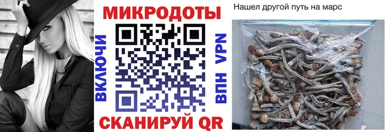 Купить где  Остров  Галлюциногенные грибы Cubensis 